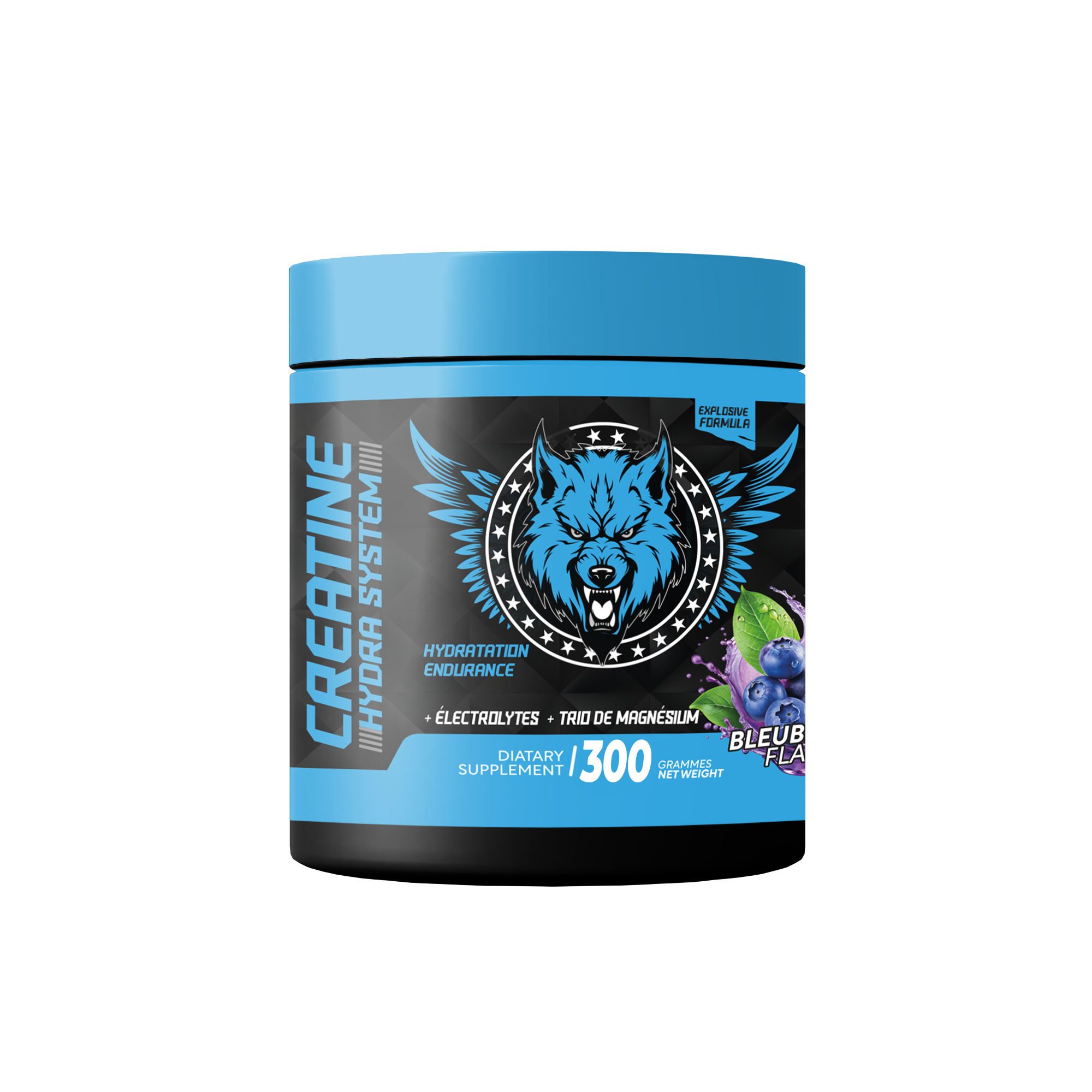 Creatine Hydra System | 300g